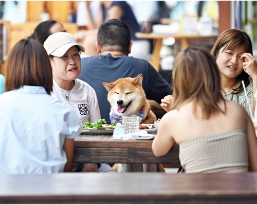 消息指本港今日沒有新增的新冠肺炎源頭不明個案。資料圖片