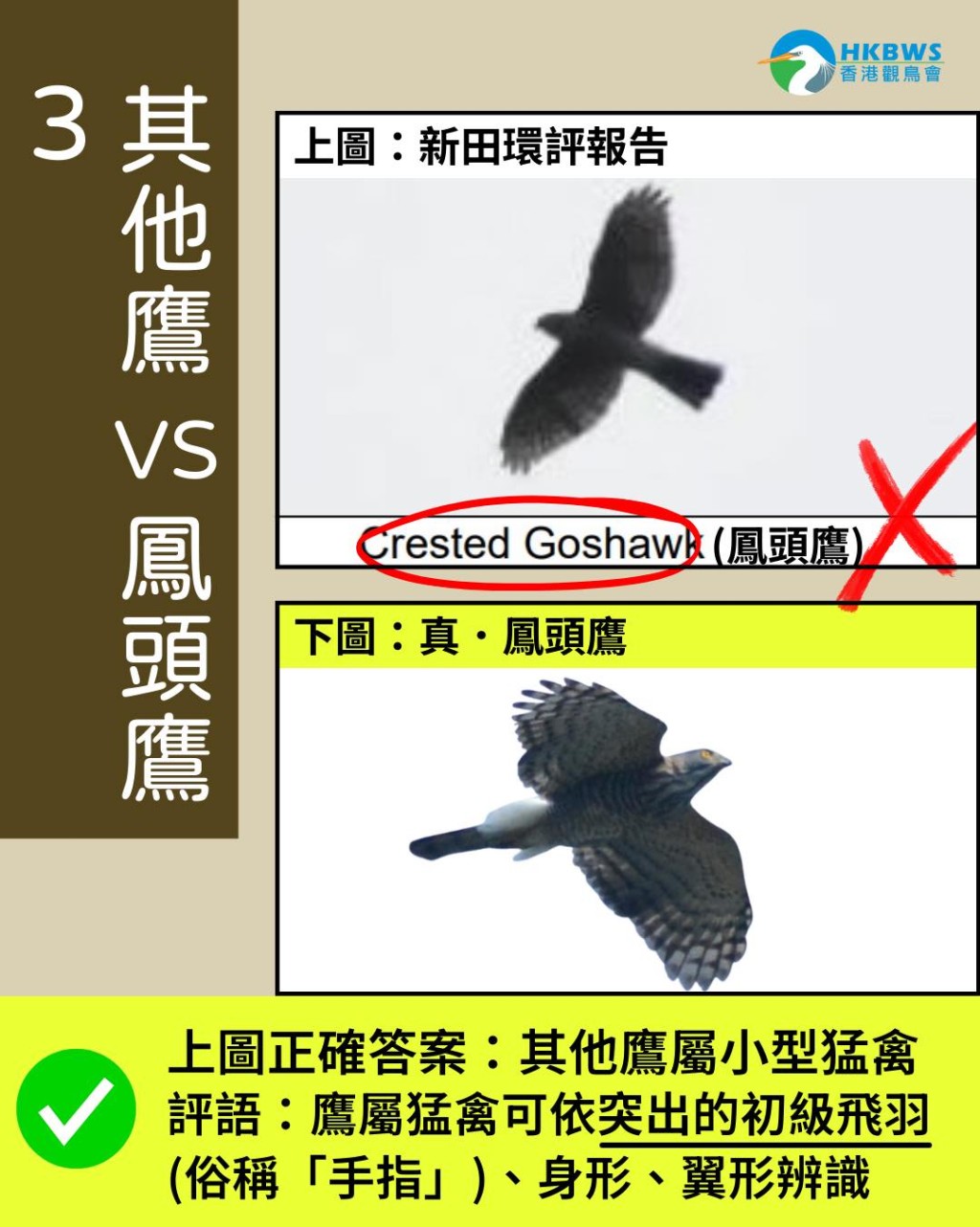 觀鳥會指新田環評有多個雀鳥品種被認錯。香港觀鳥會facebook圖片