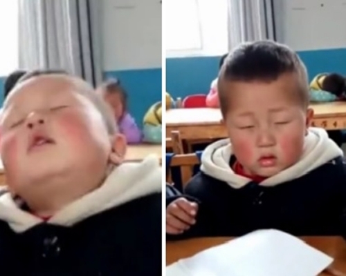 就讀幼稚園中班的周梓宸在上課時不小心睡著,坐在椅子上打瞌睡,頭還不停晃動,非常可愛。 影片截圖