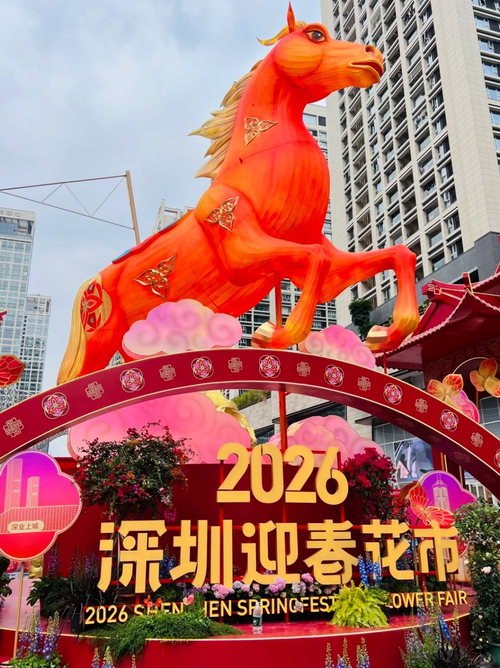 福田花市同樣於2月10日至16日舉行，在深圳節日大道的節日廣場與市民見面。