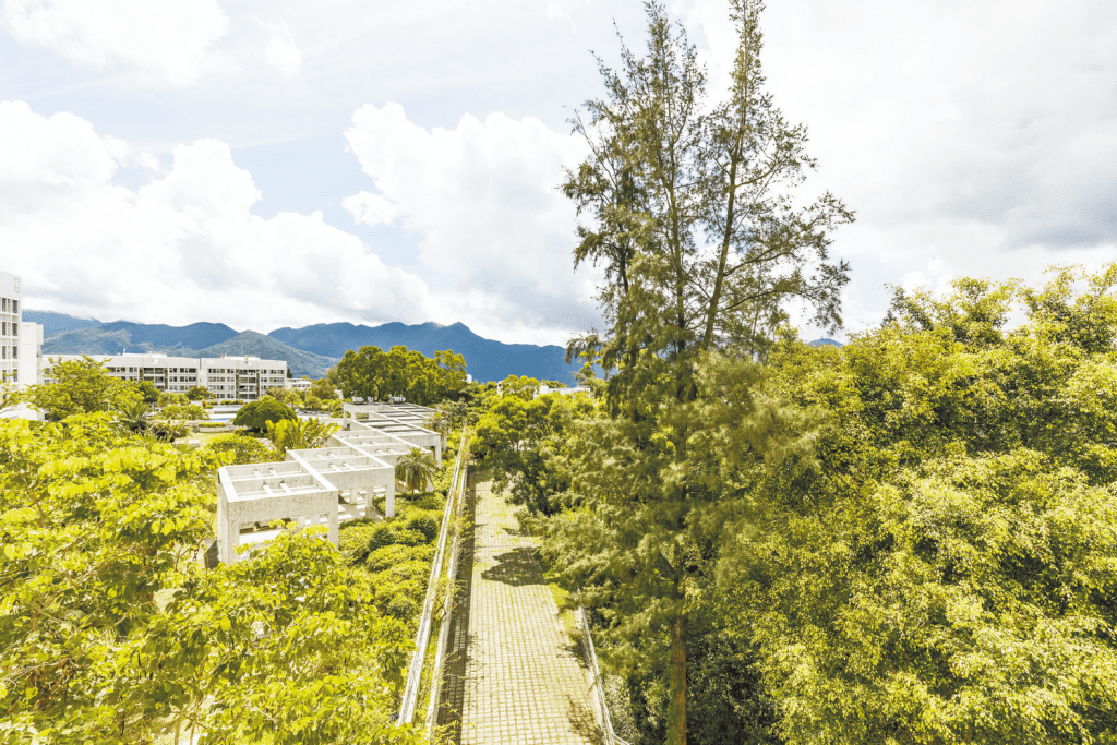 单位主要望青翠园景，远见翠绿山峦。