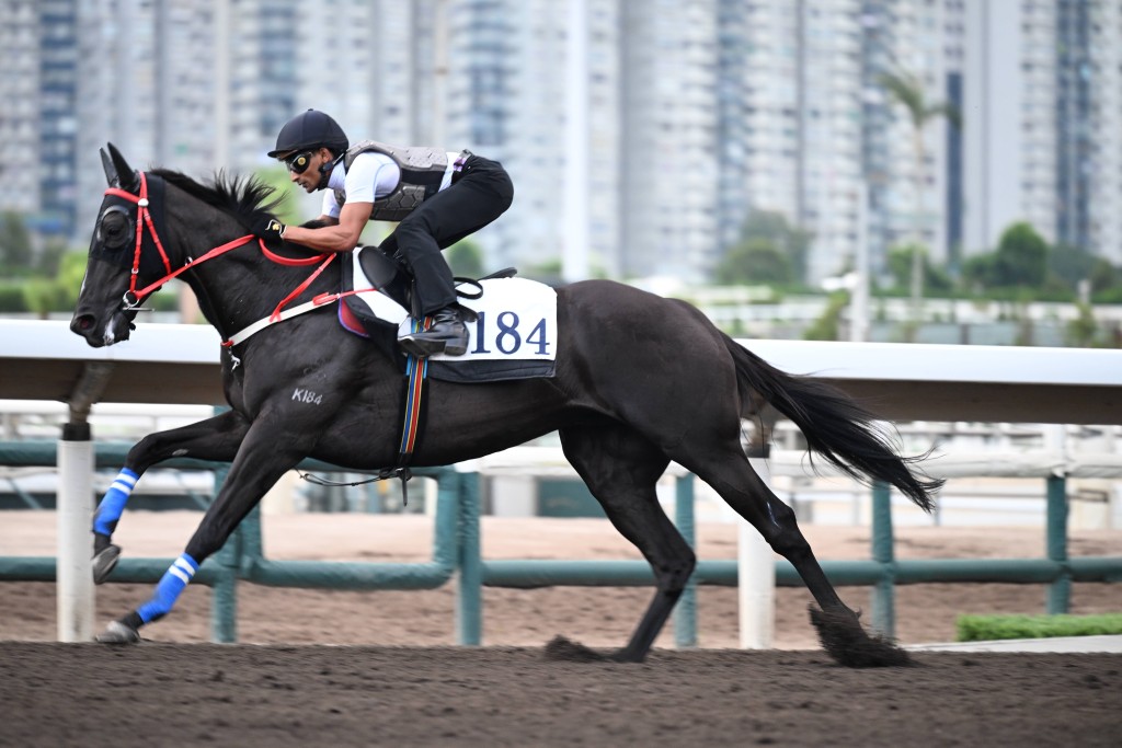「紅衣醒目」戴頭罩由田泰安跳兩段，短韁扣實火力俱佳，馬身喼得靚，勝後有進無退。