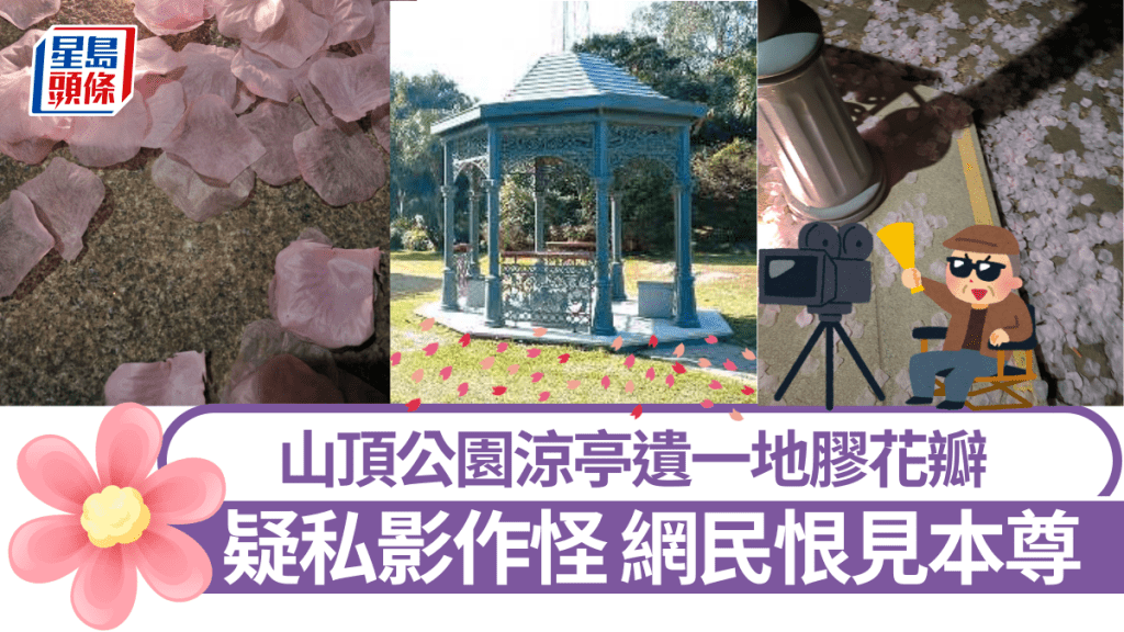 山頂公園涼亭粉紅色浪漫 遺一地膠花瓣 網民疑私影作怪  ​