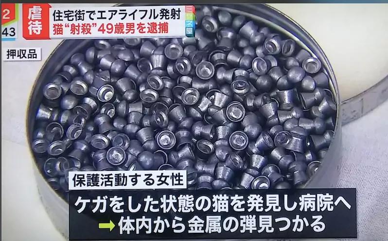 平田雄一表示，在2003年獲得狩獵用氣槍的持有資格。網上圖片