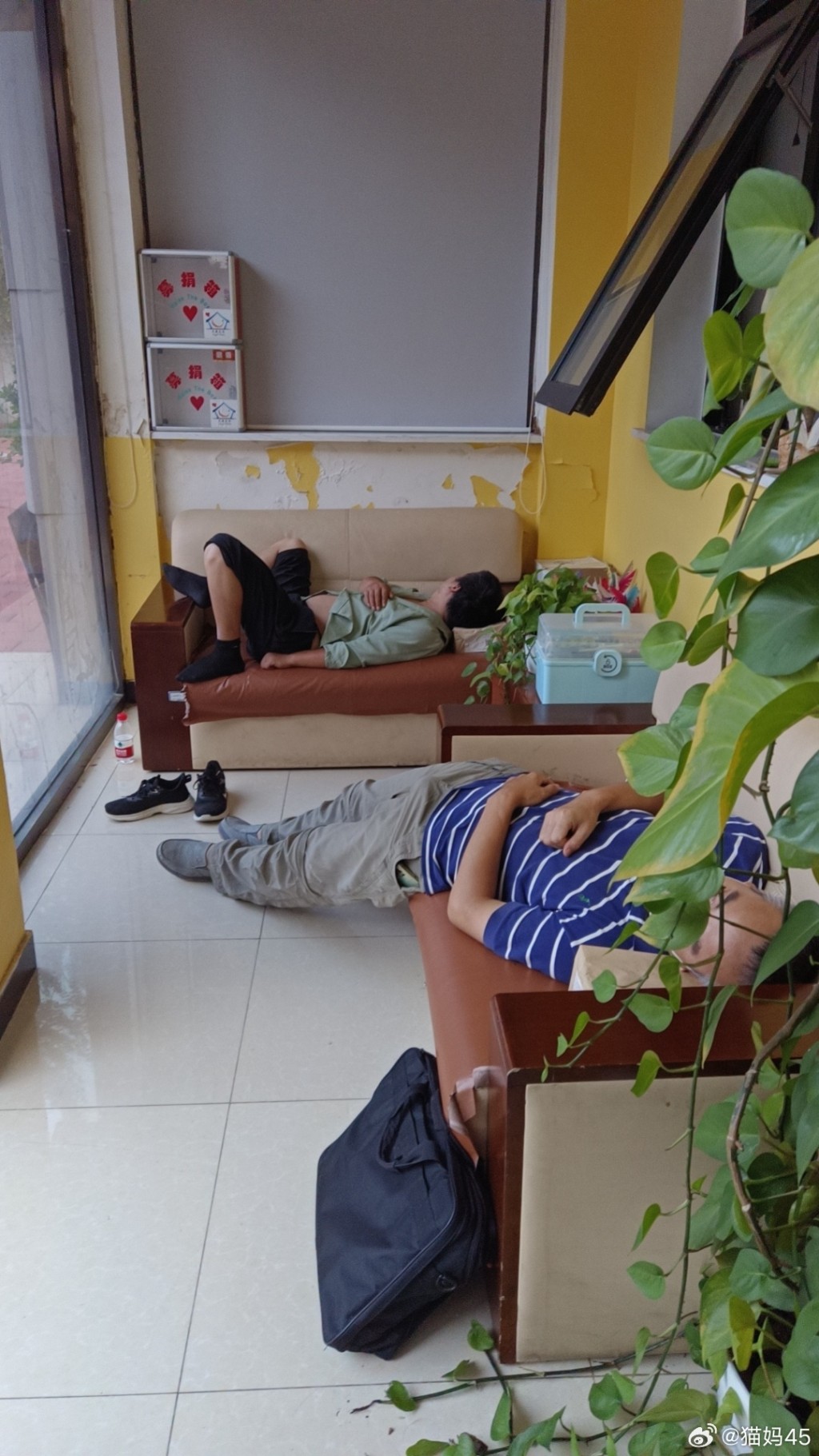多名病患家长在河北石家中华儿慈会大楼留守维权。影片截图