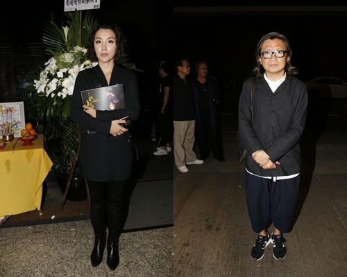 陳芷菁、陳可辛