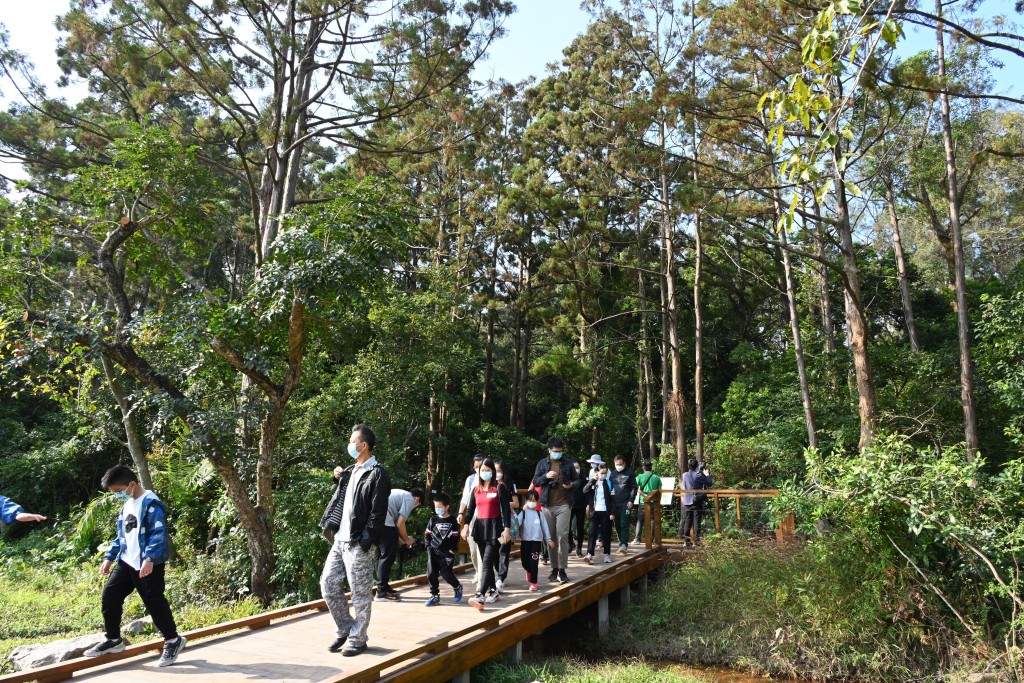 乐群家庭参观了全球濒危的水松林。