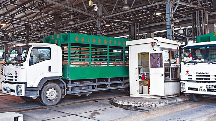 跨境貨車司機昨進行1504次快速核酸檢測,揭2宗初陽個案。資料圖片