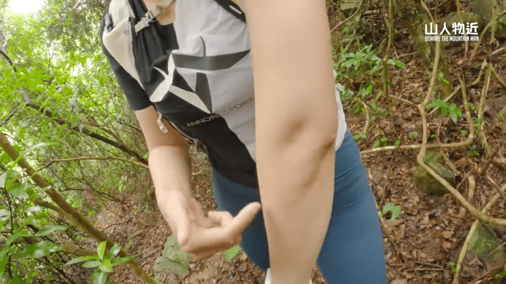 女網紅手臂滿布被咬傷痕。(Youtube頻道「山人物近」截圖) 女網紅手臂滿布被咬傷痕。(Youtube頻道「山人物近」截圖)