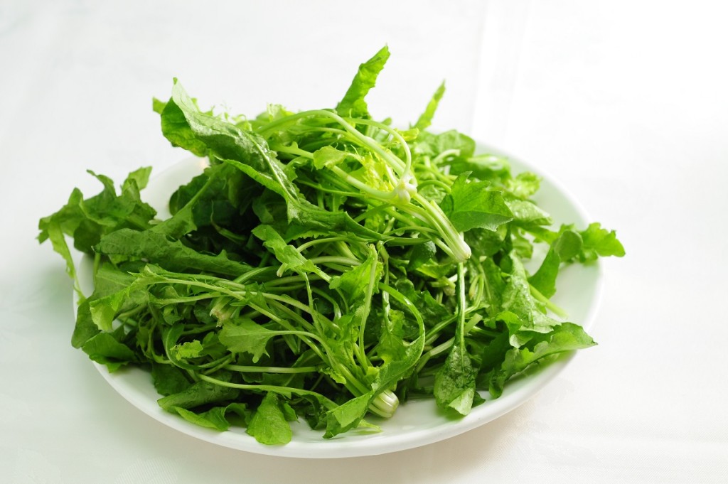 薺菜。資料圖片