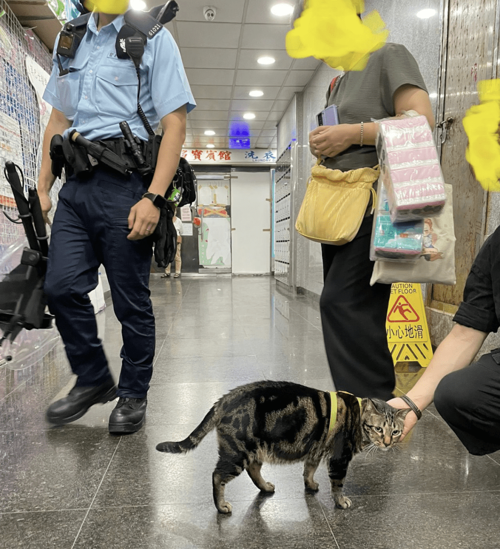 旺角賓館傳出打鬥疑雲，驚動警方持盾登門調查。「阻B關注組」