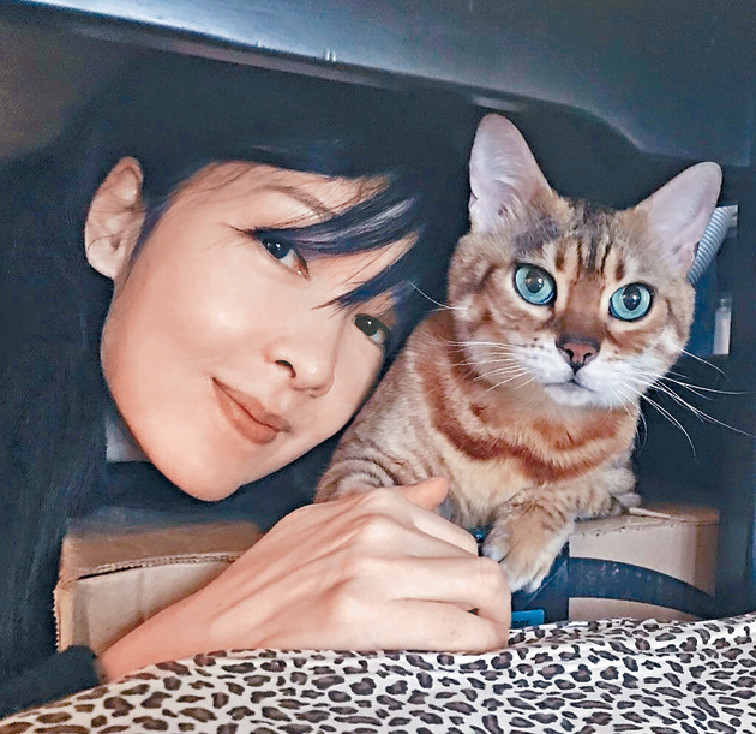■周慧敏与爱猫Cardi的最后一张合照。
