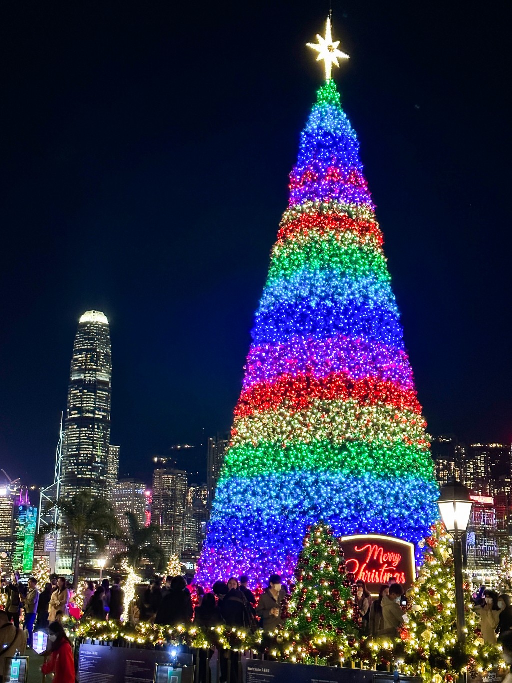 七彩的巨型聖誕樹。雷日昇攝