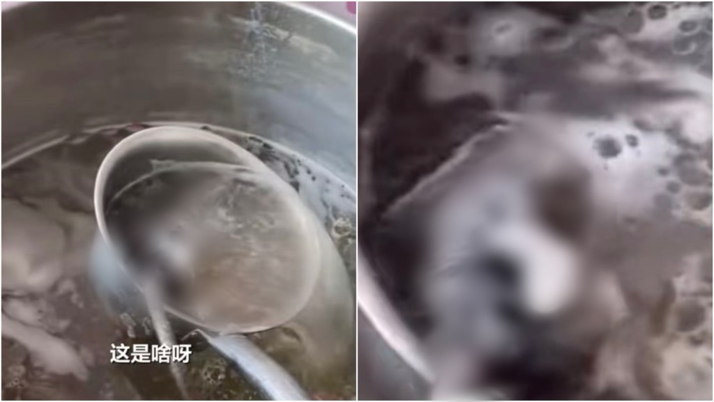 聖誕「驚喜」｜廣西早餐店顧客加湯撈出死老鼠 店鋪停業整頓