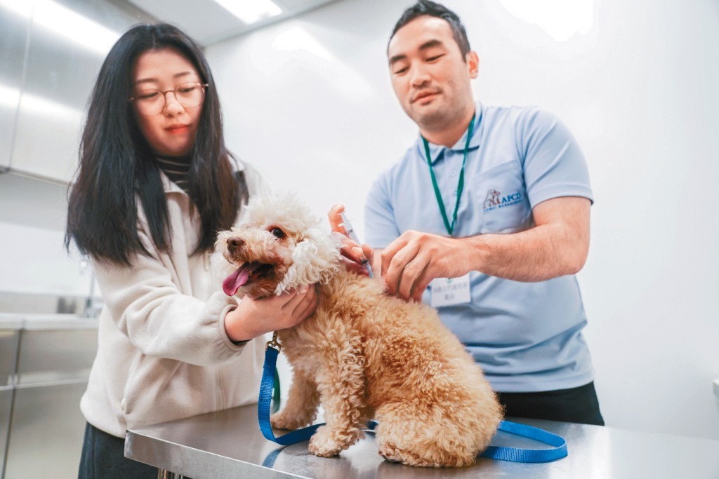 新综合大楼地下大堂为猫狗提供植入晶片、打狂犬病疫苗等服务。