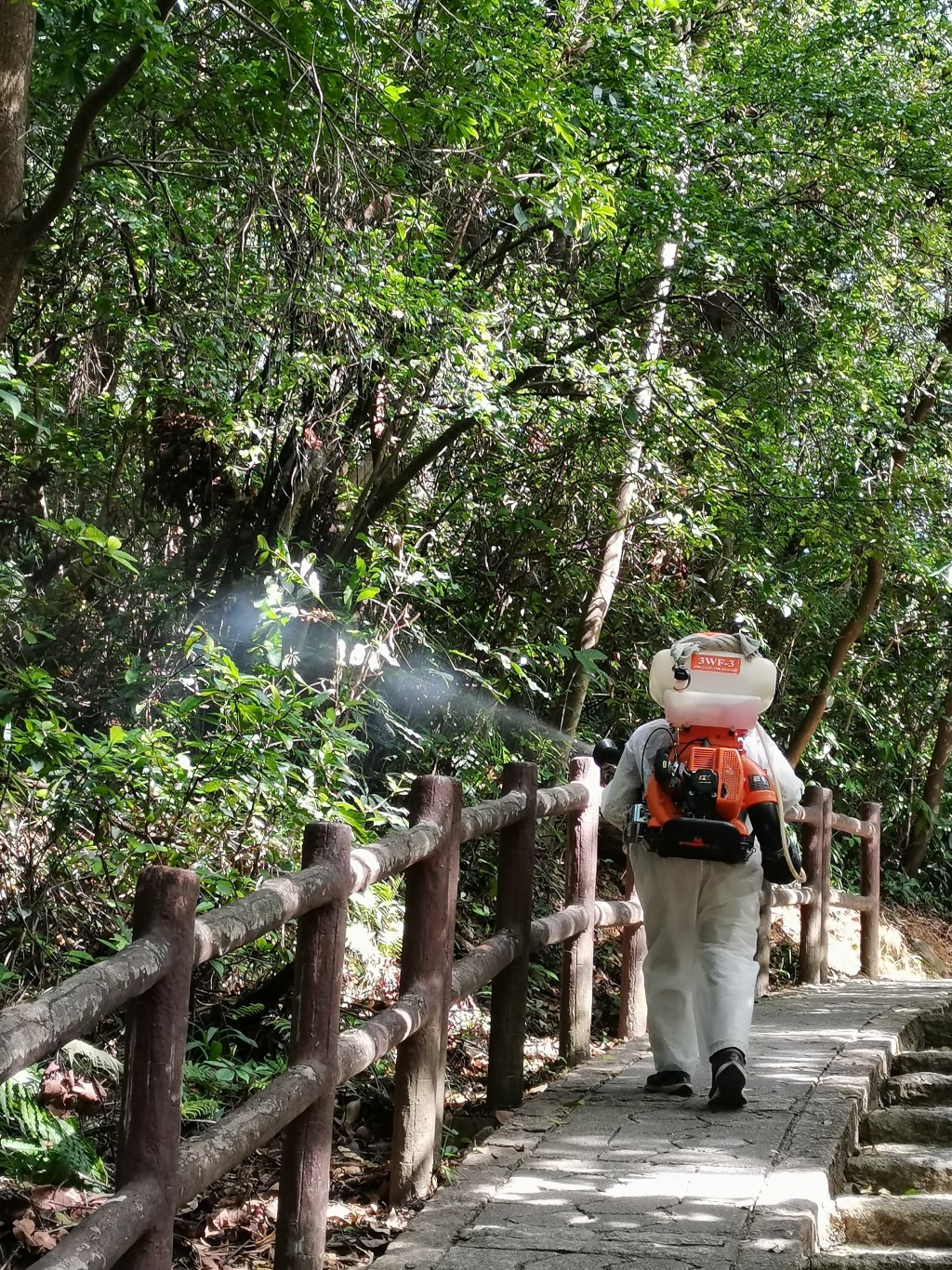青衣自然徑現基孔肯雅熱傳播鏈，食環署至今已進行49次霧化滅蚊行動。