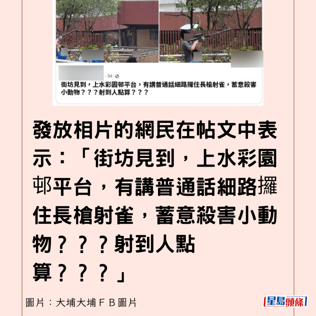 發放相片的網民在帖文中表示：「街坊見到，上水彩園邨平台，有講普通話細路攞住長槍射雀，蓄意殺害小動物？？？射到人點算？？？」