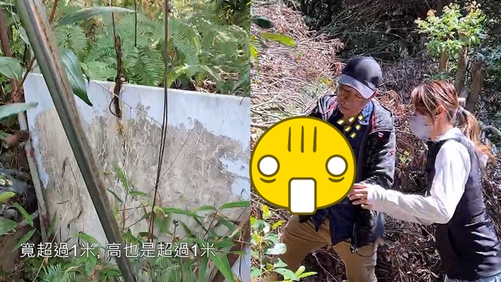 《東張西望》到寶琳後山拍攝時，驚現巨型骸骨。