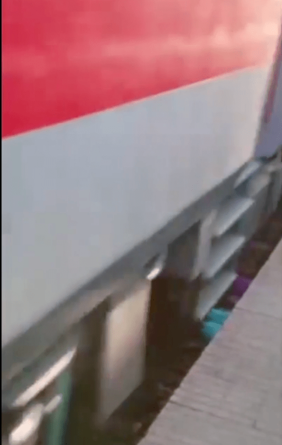 从网上流传的视频可见，这名妇人赶忙把2名孩子护在身下，并整个人跪趴在铁轨边绿，而列车就在她的头上高速驰过，生死一线间。
