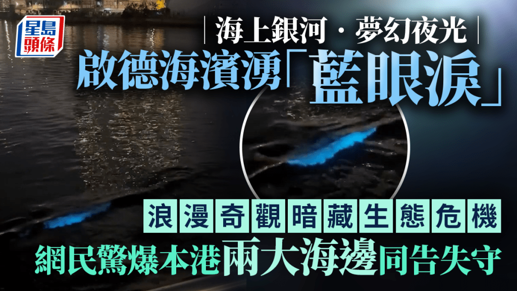 啟德海濱湧「藍眼淚」 浪漫奇觀暗藏生態危機 網民驚爆本港兩大海邊同告失守｜Juicy叮