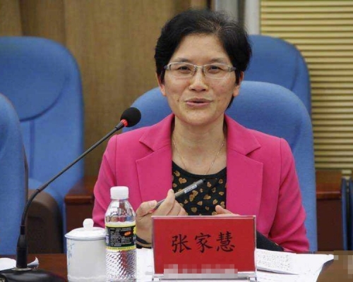 海南省高級人民法院副院長張家慧。　網上圖片