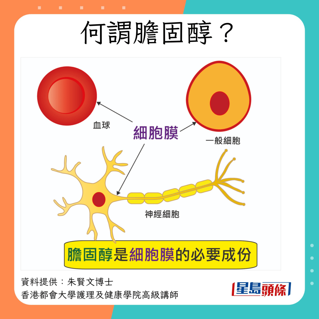 甚麼是膽固醇？