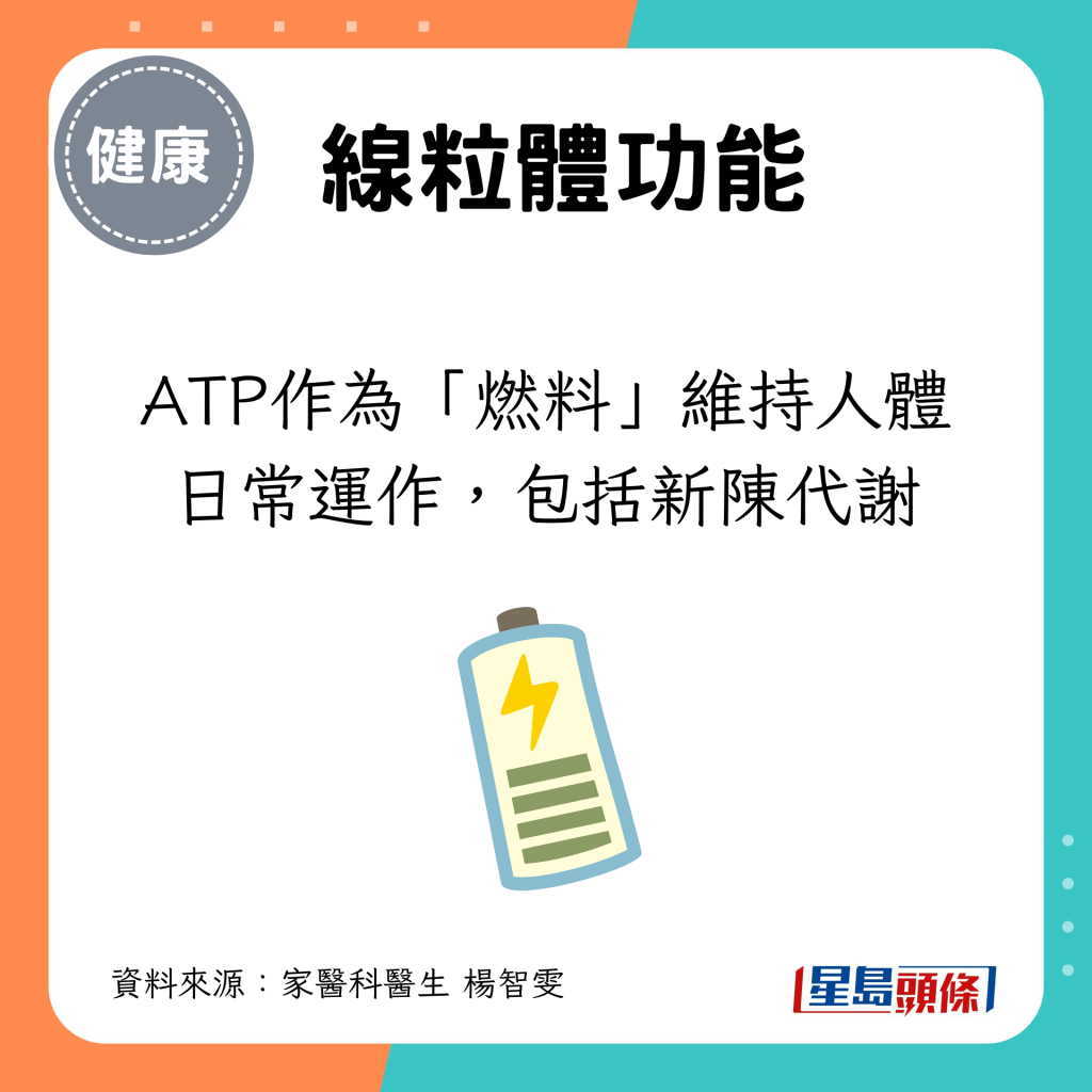 ATP作为「燃料」维持人体日常运作，包括新陈代谢