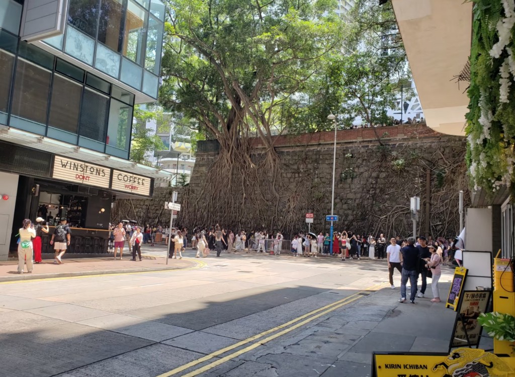 不少遊客到科士街咖啡店打卡。小紅書圖片 不少遊客到科士街咖啡店打卡。小紅書圖片