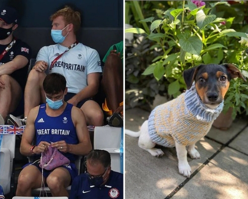 戴利被拍到奧運觀眾席上「織冷衫」，原來是為朋友們的小狗織毛衣。網圖