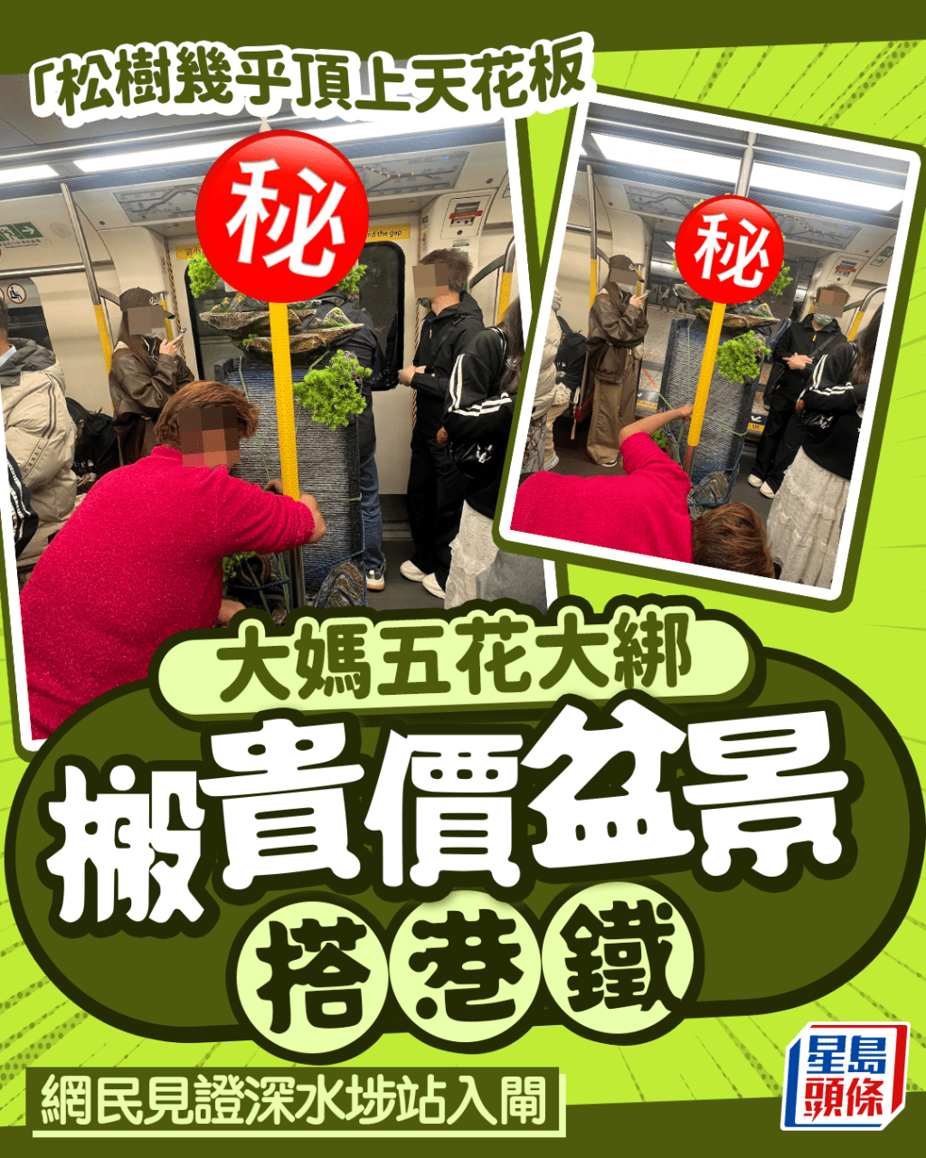 「松樹」幾乎頂上天花板 大媽五花大綁搬貴價盆景搭港鐵 網民見證深水埗站入閘｜Juicy叮