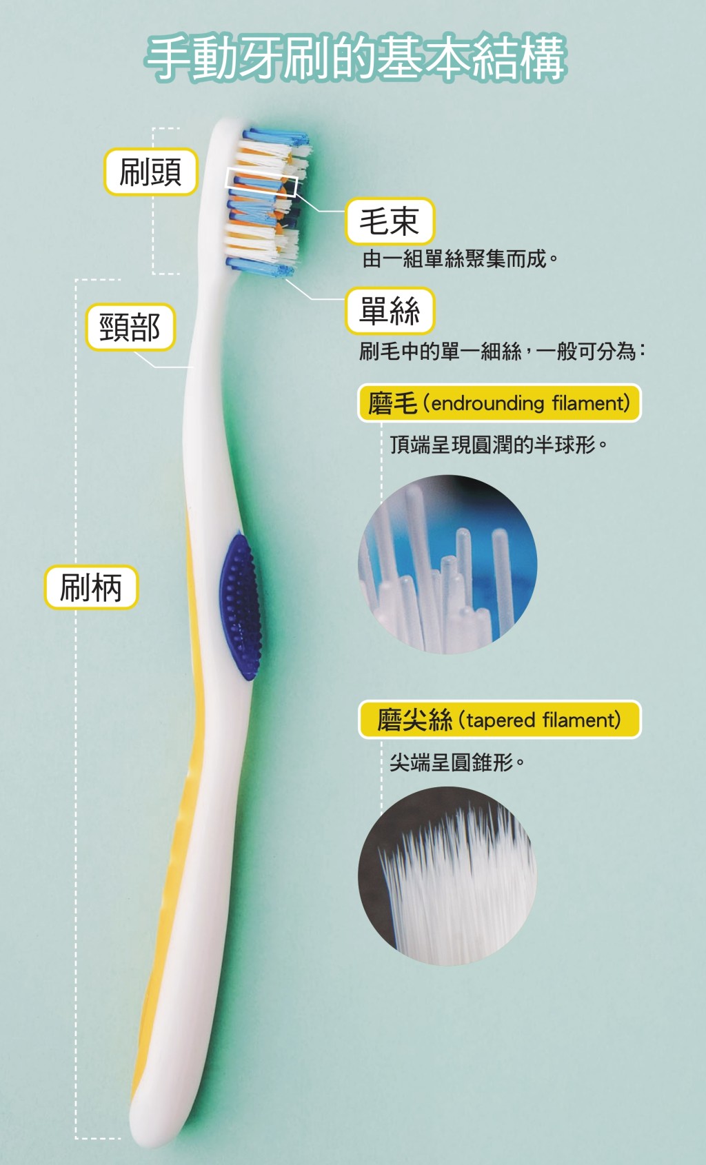 是次測試涵蓋29款成人手動牙刷，包括18款單支裝及11款多支包裝。消委會圖片