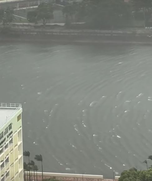 颱風期間，城門河翻起白頭浪。fb「新界地區生活連線」影片截圖