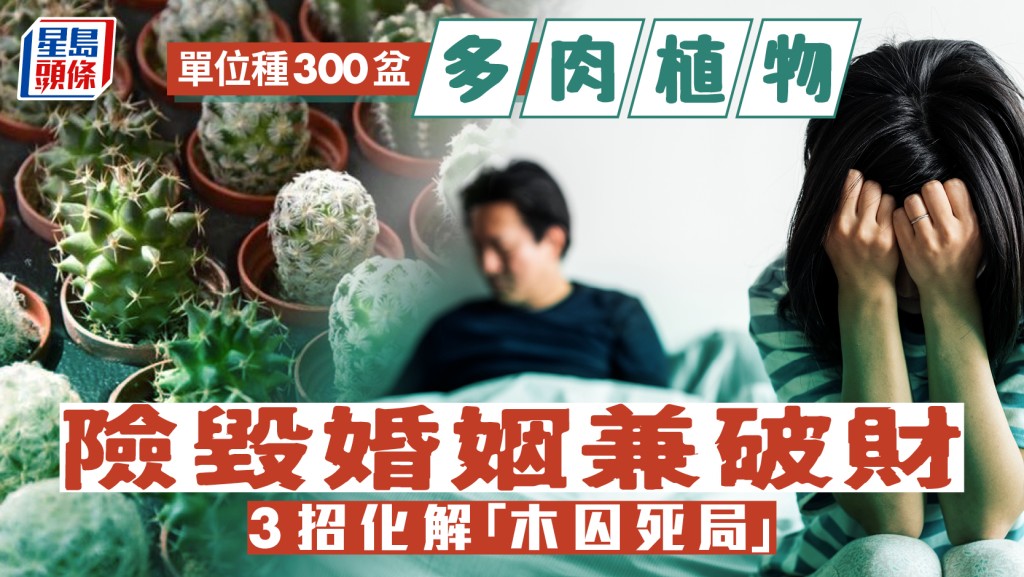 單位種300盆多肉植物 險毀婚姻兼破財 3招化解「木囚死局」 ︳金耀
