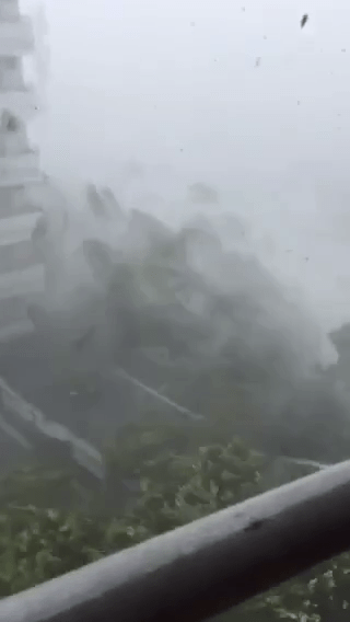 台风杜苏芮晋江沿海登陆，暴风雨吹得树下都变形。