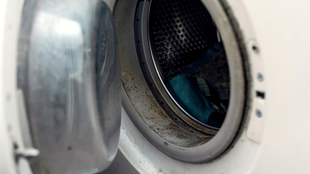 廁所洗衣機暗藏霉菌 恐侵蝕大腦易致癌 醫生教3招快速除霉/防霉菌滋生