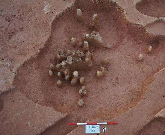 竹园岭遗址考古发掘共发现商时期形状大小不同的各类灰坑近1500个。
