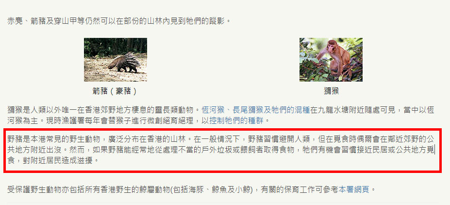 早前漁護署「受保護野生動物」的網頁中,有一段落介紹野豬。網上圖片