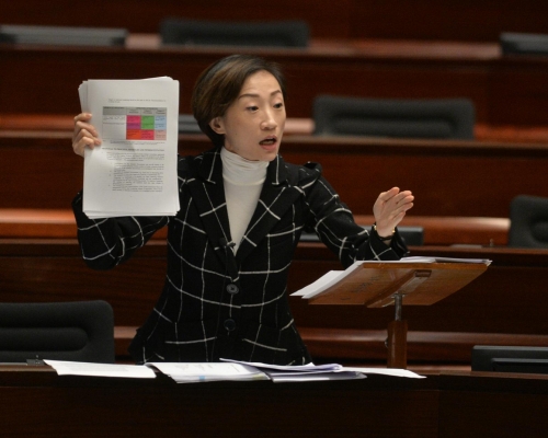陳淑莊引述總選舉事務主任稱最遲月底確認參選人資格。