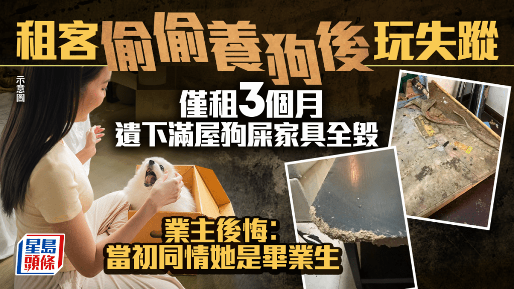 租客偷偷养狗后玩失踪 仅租3个月 遗下满屋狗屎家具全毁 业主后悔︰当初同情她是毕业生