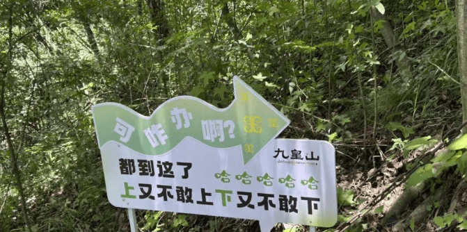 遊客爬山遇另類加油牌。紅星新聞