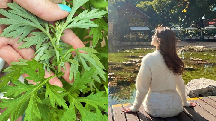 36歲《流行都巿》主持賣花膠吸金再過田園樂   婚後做少奶奶考船牌出海玩