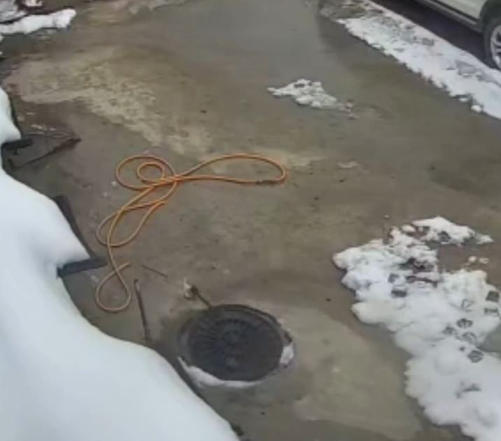 大鵝在家中被活動井蓋「吞」入井內。抖音