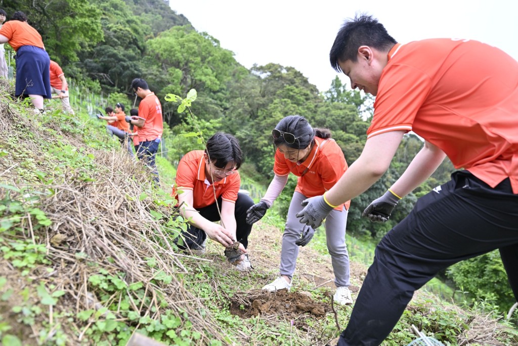 集團連續第二年舉辦「信和可持續發展月」，聯同近十五個合作夥伴推出一系列參觀、工作坊及實地體驗等多元化活動，吸引近300名同事的參與。