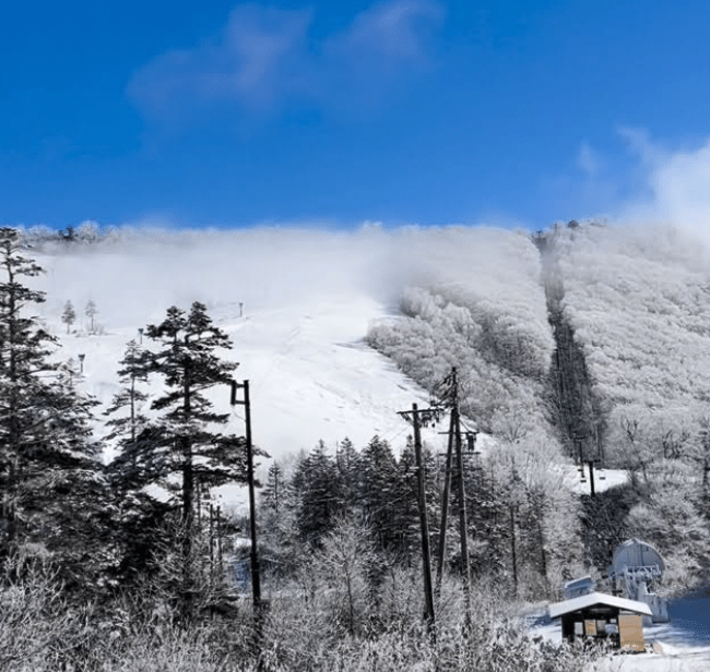 日本长野县小谷村栂池高原度假村滑雪场，日前发生罕见致命缆车事故。IG@tsugaike_kogen