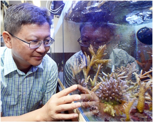 邱建文期望為海毛蟲等不美觀的海洋生物找出價值，維持本地生物多樣性。