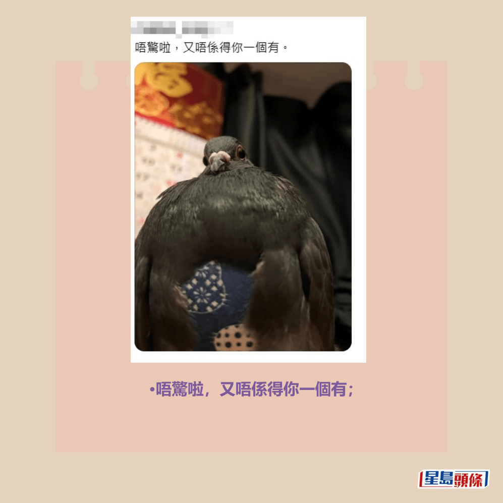 •唔驚啦,又唔係得你一個有;Threads截圖 •唔驚啦,又唔係得你一個有;Threads截圖