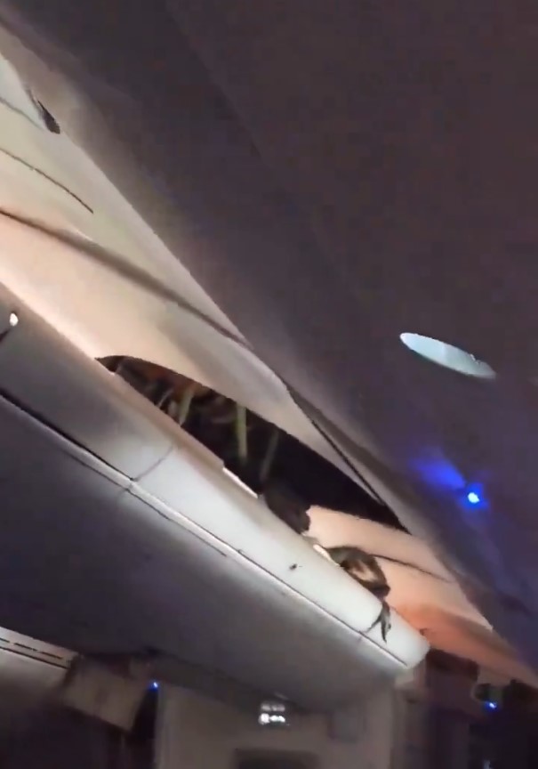 有乘客被拋至撞破天花板（X影片截圖）