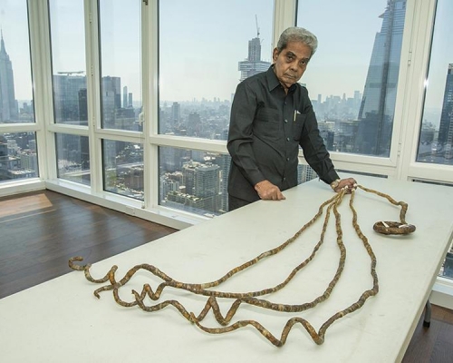 奇尔阿左手指甲总长超过9米，2015年获健力士世界纪录认证为「单手指甲最长的人」。（网图）