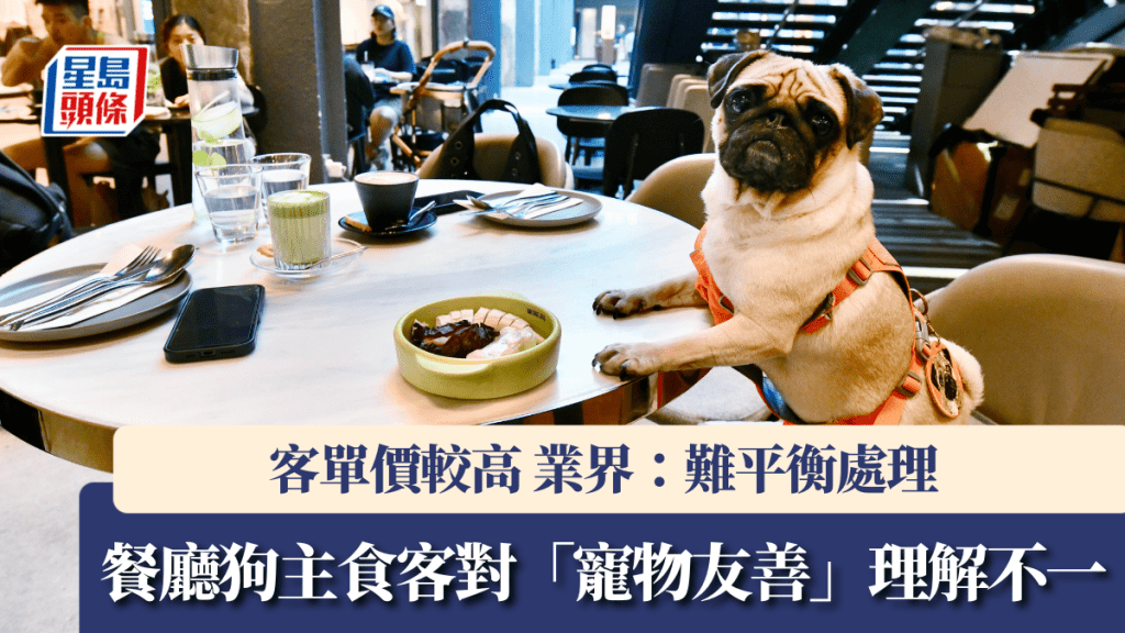 餐廳狗主食客對「寵物友善」理解不一 客單價較普通餐廳高  業界：難平衡處理