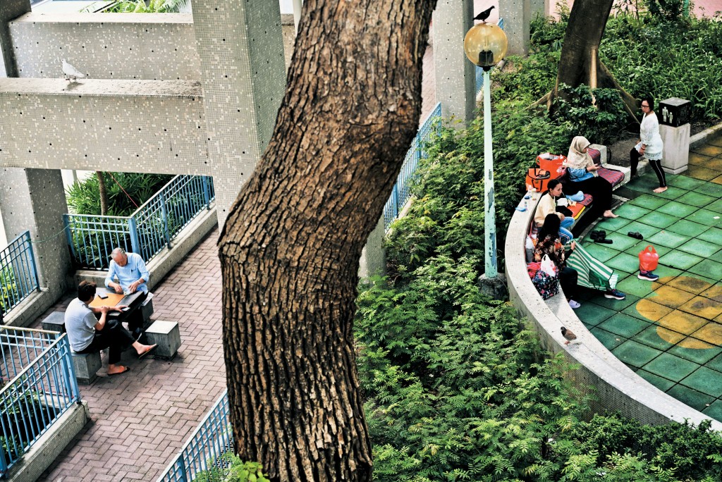 首宗基孔肯雅熱本地個案的82歲女患者居於鑽石山鳳德邨,衞生防護中心指婆婆平日主要在邨內活動,不排除仍有「隱形個案」潛藏邨內。